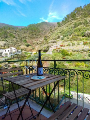 A relaxing nest - surroundings of Manarola